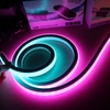 rgbic led neon rope lights