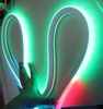 rgbic led neon rope lights