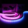 rgbic led neon rope lights