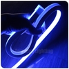 rgbic led neon rope lights