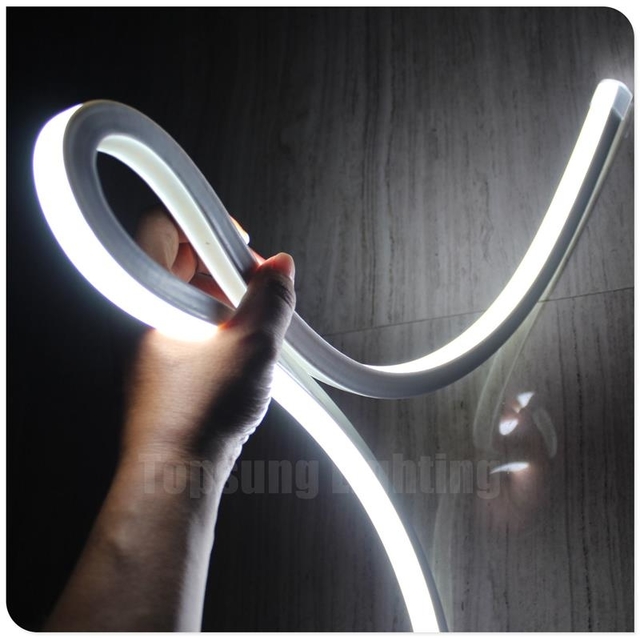 rgbic led neon rope lights