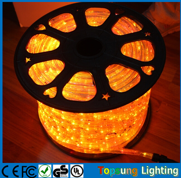 led rope light duralight