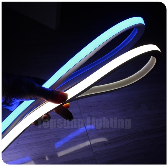 rgbic led neon rope lights